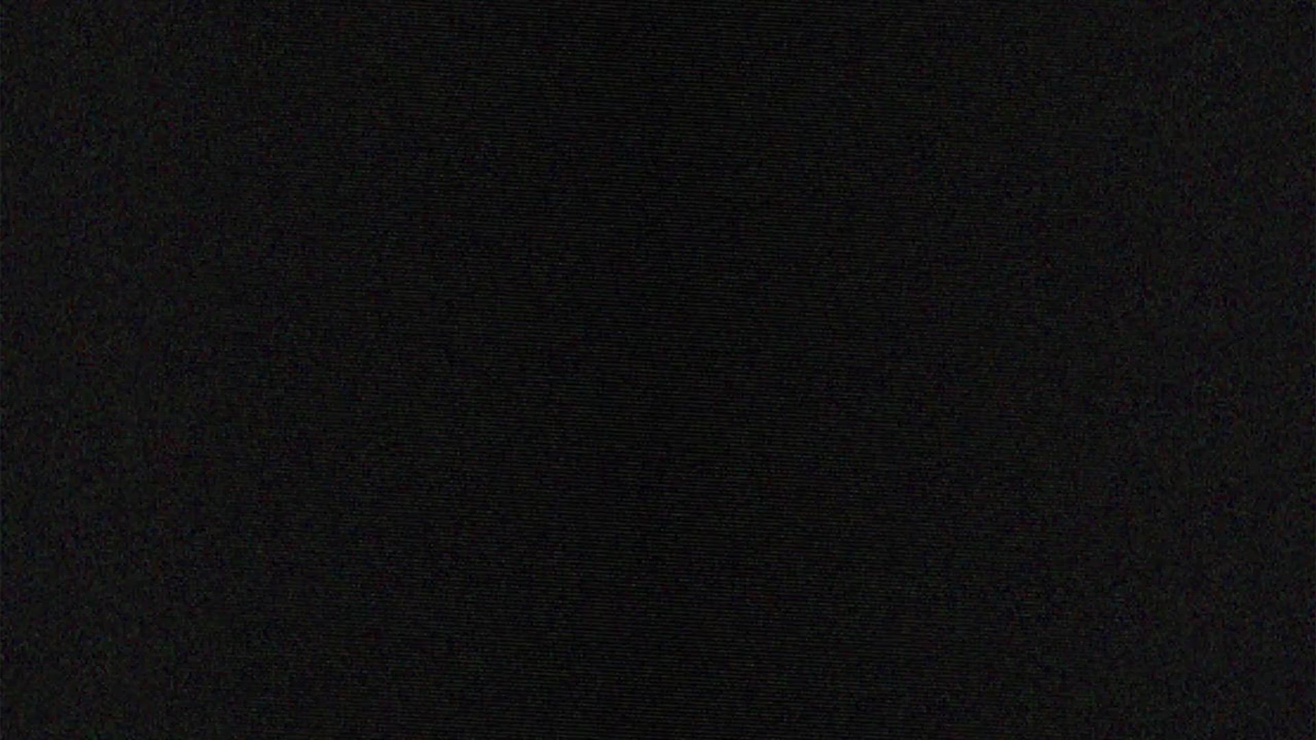 3D Animation Doggystyle Futanari