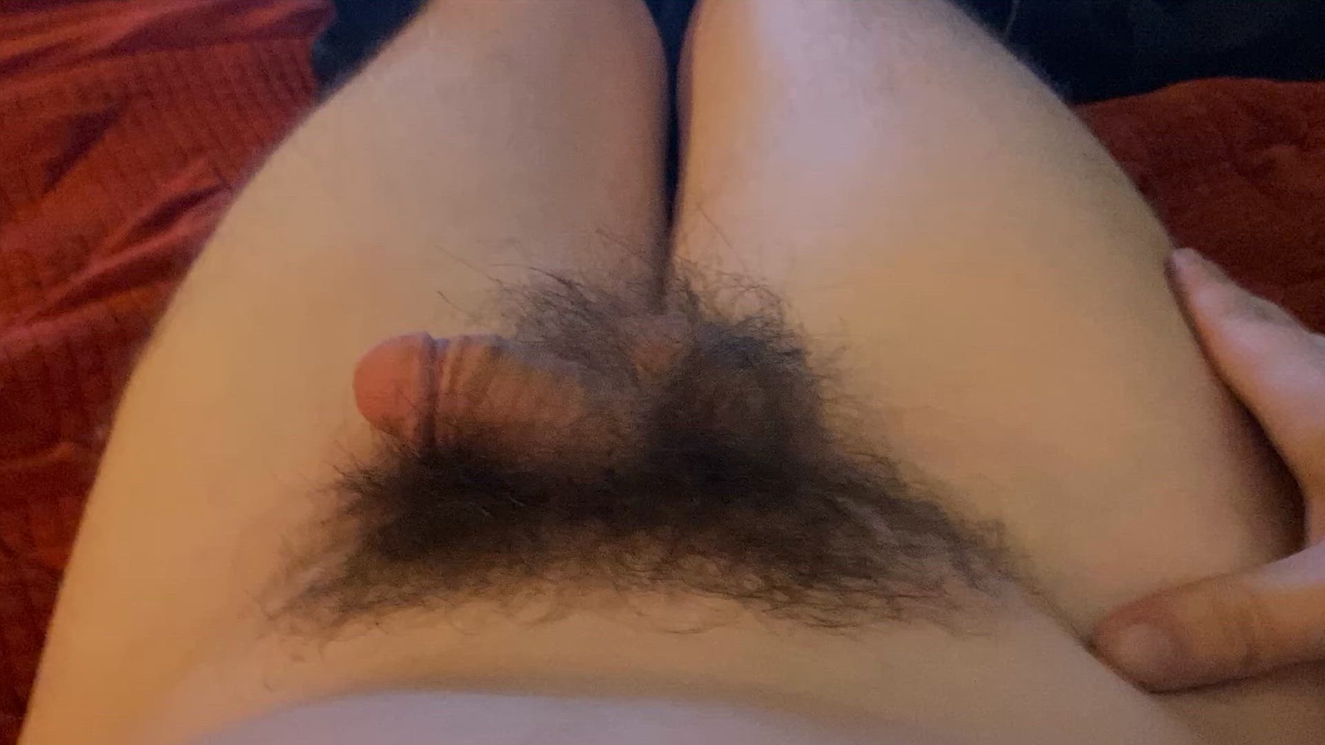 Amateur Hairy Hairy Cock Homemade