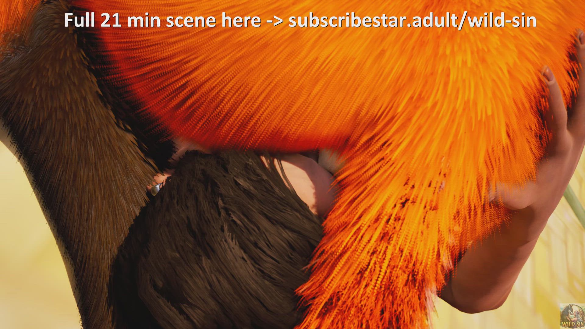 Animation Face Sitting Facesitting Furries