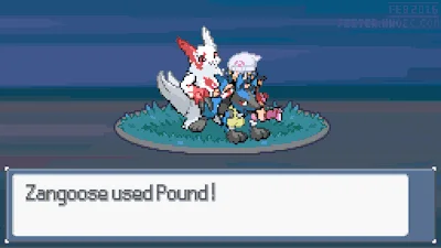 Zangoose Used Pound!