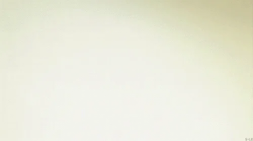 Like, Reblog And Follow If