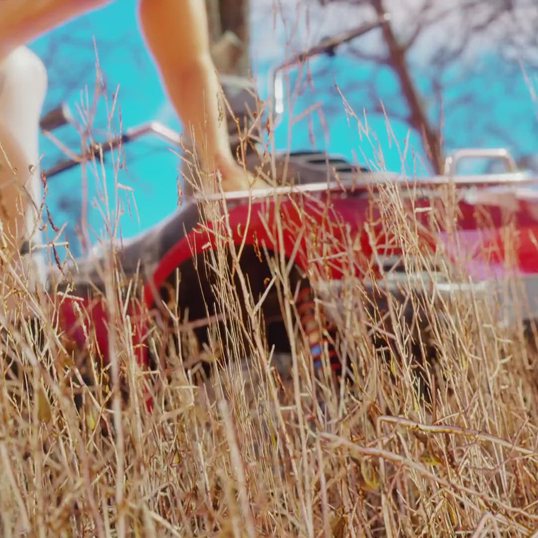 Big Dick Boobs Furry Futanari