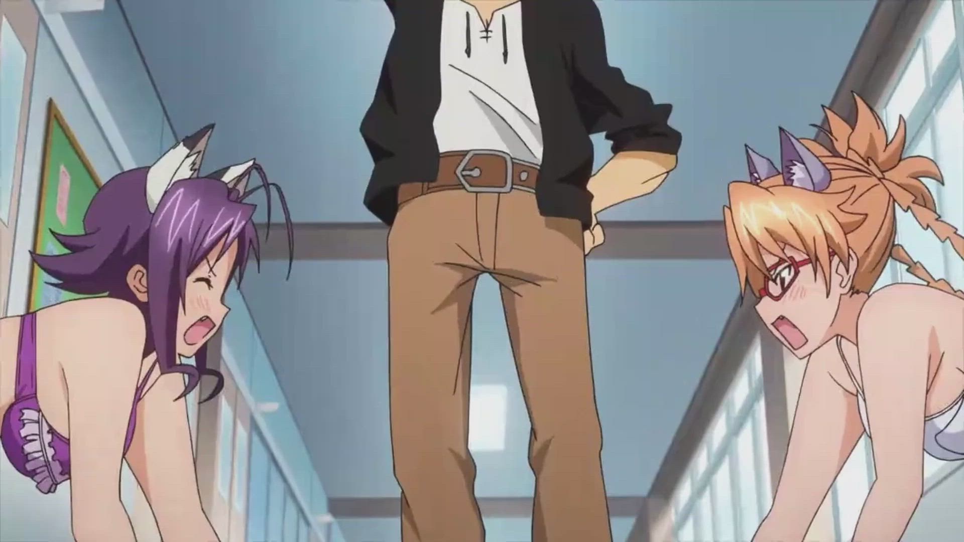 Anime Big Tits Catgirl Ecchi