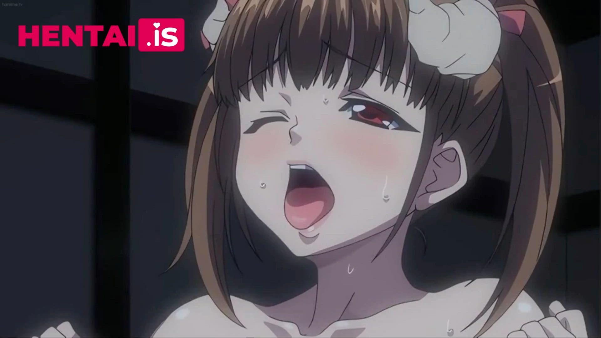 Animation Anime Fucked Hentai