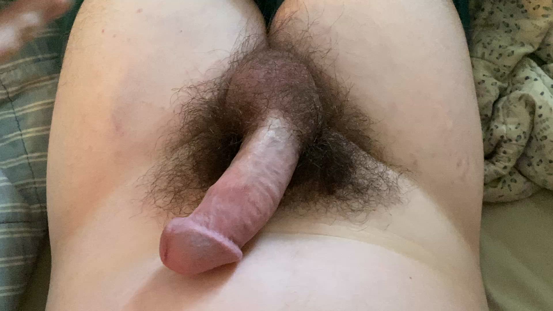 Amateur Big Dick Hairy Hairy Cock