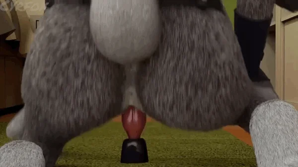 Judy Hopps Bouncing On Fox